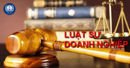 Luật sư doanh nghiệp, Kinh nghiệm cần có